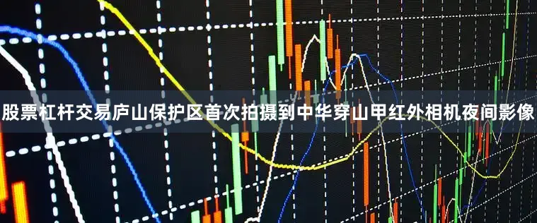 股票杠杆交易庐山保护区首次拍摄到中华穿山甲红外相机夜间影像