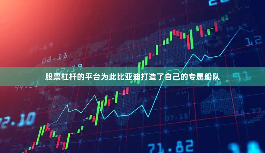 股票杠杆的平台为此比亚迪打造了自己的专属船队