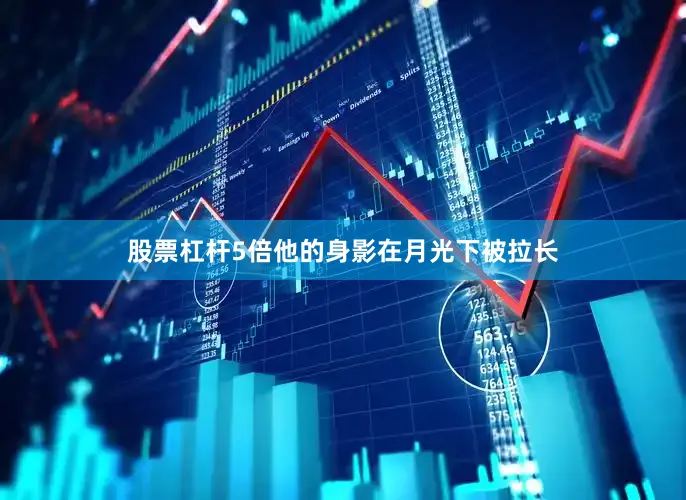 股票杠杆5倍他的身影在月光下被拉长